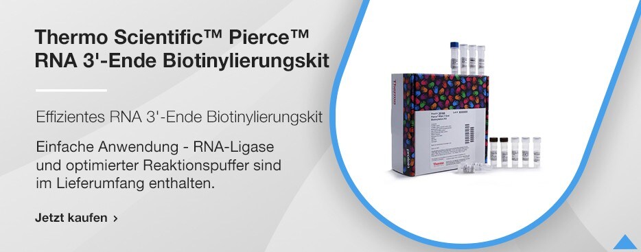 Thermo Scientific™ Pierce™ RNA 3'-Ende Biotinylierungskit