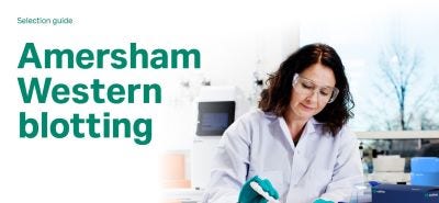 25032_Merch_P8_Doct1