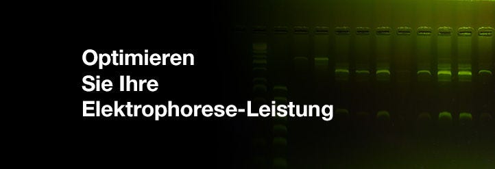 Optimieren Sie Ihre Elektrophorese-Leistung