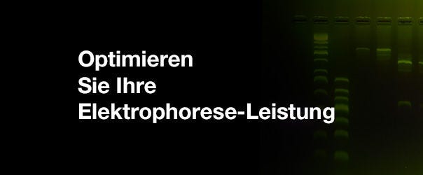 Fokus auf Elektrophorese