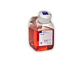 Stammzellkulturmedien