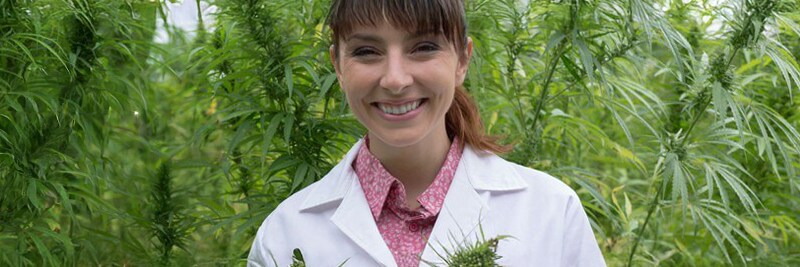 Cannabis Laboratory and Safety Services