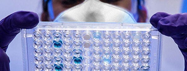  Analytische und mikrobielle Qualitätskontrolle