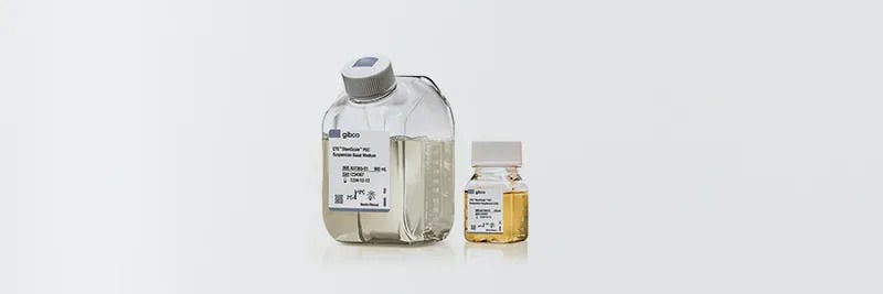 Produkte für Stammzellen, Neurowissenschaften und Zelltherapie