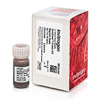 Contec™ Sterile IPA