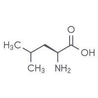 Leucine