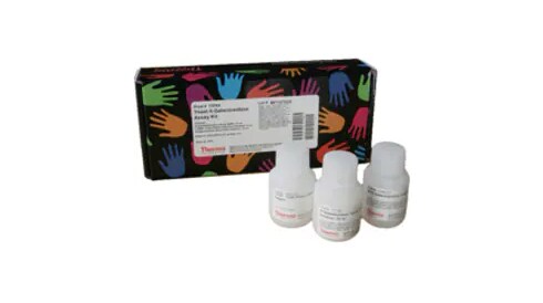 General Cell-Based Assays