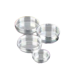 Sterile Petri Dishes for Daily Lab Work