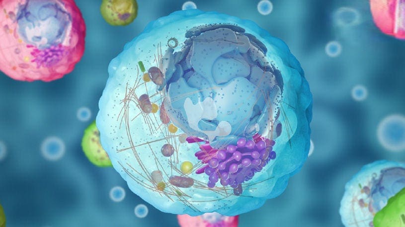 5 Gründe, warum der richtige pH entscheidend für die Zellgesundheit ist