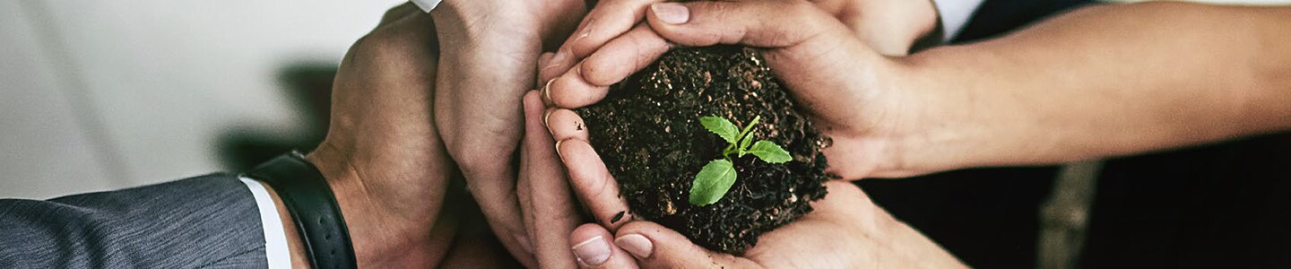 Sustainability Partner: Greiner Bio-One 