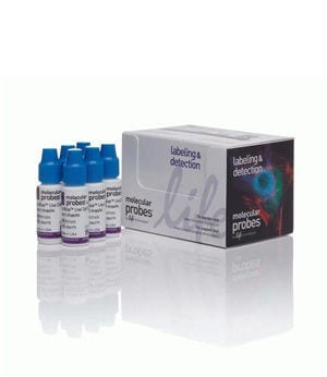 Invitrogen™ NucBlue™ Live ReadyProbes™ Reagenz