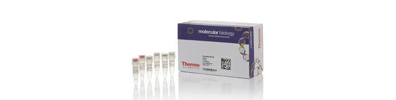 Thermo Scientific™ Maxima First Strand cDNA Synthesis Kit for RT-qPCR