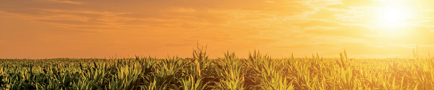 2025-2026 Fisher Science Education Catalogs