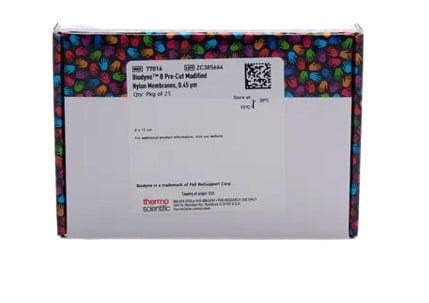 25032_Merch_P2_Product2