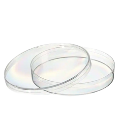 Petri Dish