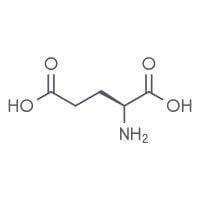 Glutamic Acid