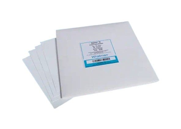 25032_Merch_P2_Product3