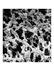 Merck Durapore™ Membranfilter 0,45 µm