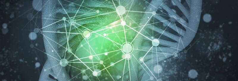 Detecting Phenol in Nucleic Acid Samples