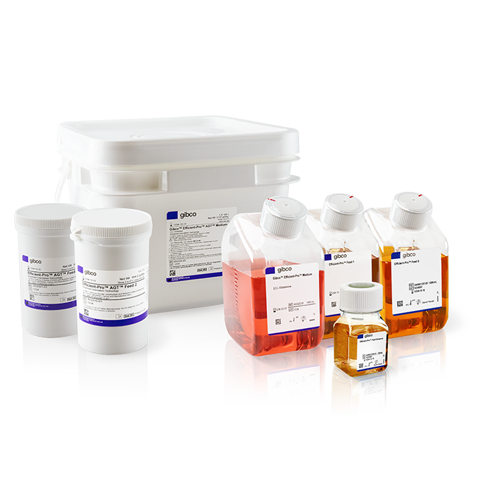 The Efficient-Pro System Family