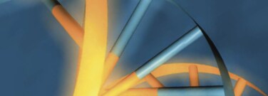 Chemikalien für die Nukleinsäuresynthese Chemikalien für die Nukleinsäuresynthese