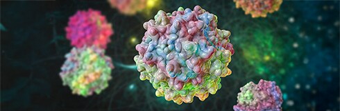 Warum sollten Sie SEC für die Analyse von AAV-Aggregaten in Betracht ziehen? Warum sollten Sie SEC für die Analyse von AAV-Aggregaten in Betracht ziehen?