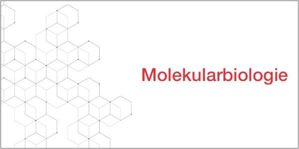 Molekularbiologie