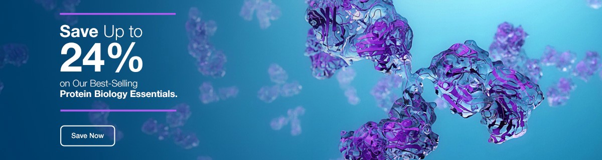 24079_promo_page__banner_DE_2 24079_promo_page__banner_DE_2