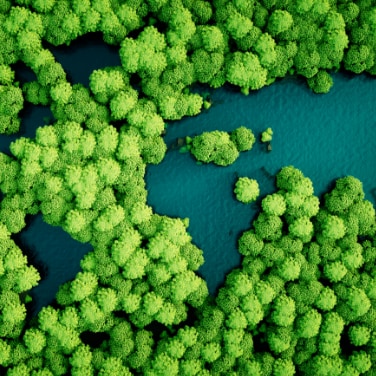 Bäume und Wasser in Form einer Weltkarte