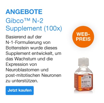 Gibco™ N-2 Supplement (100X)