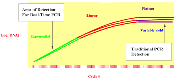 Traditionelle PCR-Maßnahmen