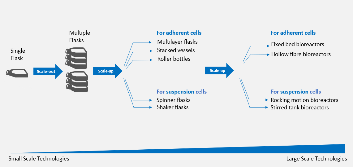 Systeme zur Skalierung von adhärenten und suspendierten Zellkulturen