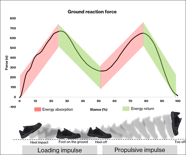 Abbildung 1. Eine typische vertikale Bodenreaktionskraftkurve beim Gehen vom Fersenauftritt bis zum Zehenabdruck