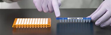 Video: Auswahl einer PCR-Platte
