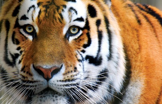 Fisherbrand scientific products portfolio