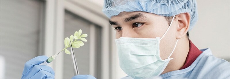 Umgang mit Sicherheitsbedenken im Unterricht während der Pandemie