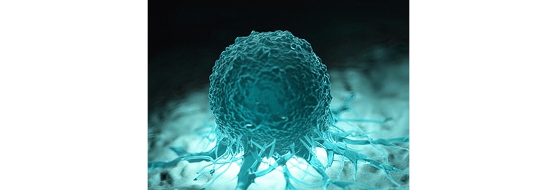 „Tumor-Avatare“ könnten helfen, wirksame Krebsbehandlungen zu finden