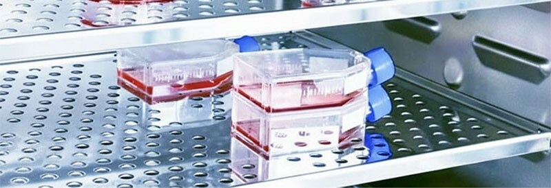 Die vielen Anwendungsbereiche, in denen CO2-Inkubatoren ihre Stärken zeigen