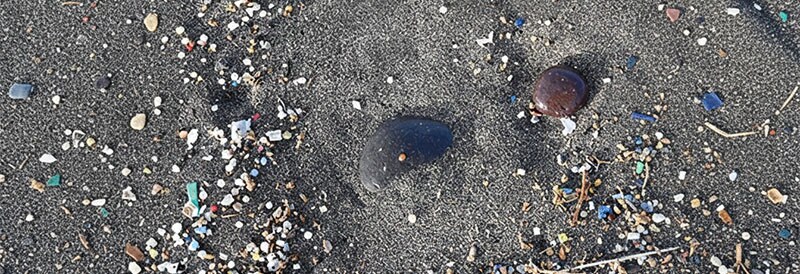 Mikroplastik: Risiken erkennen und Hinweise verstehen