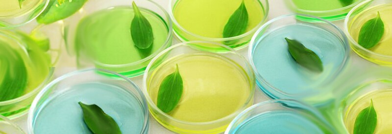 Vier umsetzbare Wege, um Nachhaltigkeit in Ihrem Labor zu priorisieren