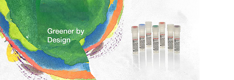 Umweltfreundlicher Versand: Ambient Advantage für Invitrogen-Antikörper