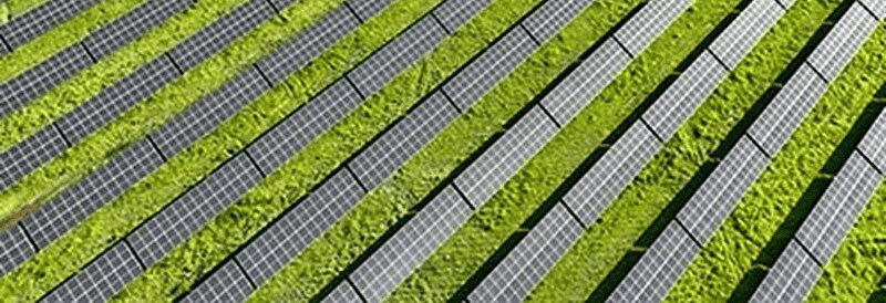 Doppelte Nutzung von Land: Solarpaneele und Landwirtschaft