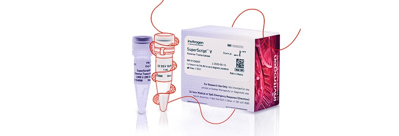 Neue Invitrogen SuperScript V Reverse Transkriptase