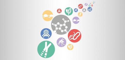 Real-Time PCR Handbook