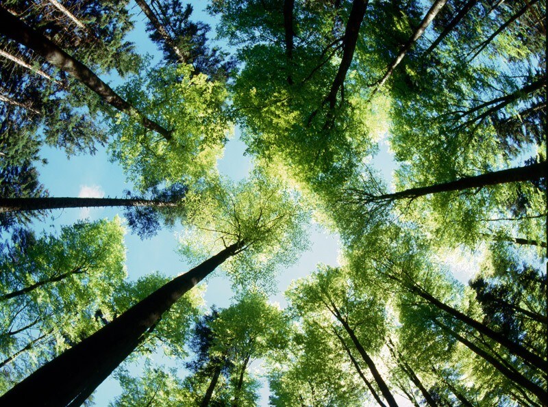 15050_visual_charity_v2 15050_visual_charity_v2